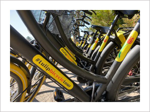yellow and black bike wheel, bikes for cycling tour, Tulip Bicycle Tour