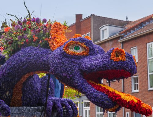 Flower Parade: A Celebration of Spring in the Bulb Area