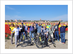 tulip bicycle tour group lisse